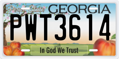 GA license plate PWT3614