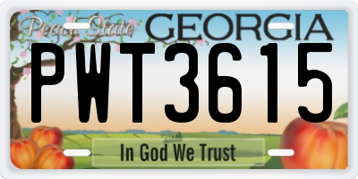 GA license plate PWT3615