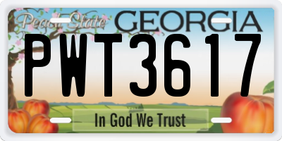 GA license plate PWT3617