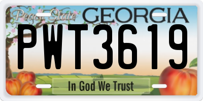 GA license plate PWT3619