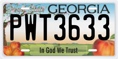 GA license plate PWT3633