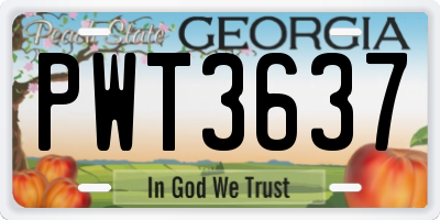 GA license plate PWT3637