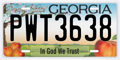 GA license plate PWT3638