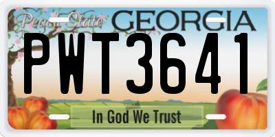 GA license plate PWT3641