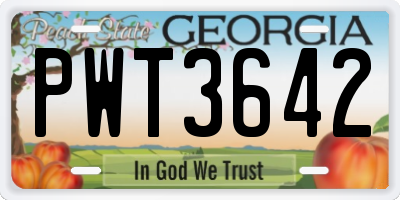 GA license plate PWT3642