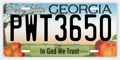 GA license plate PWT3650