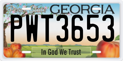 GA license plate PWT3653