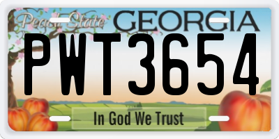 GA license plate PWT3654