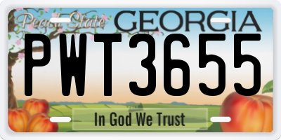 GA license plate PWT3655