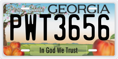 GA license plate PWT3656
