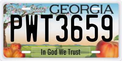 GA license plate PWT3659