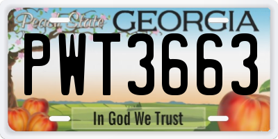 GA license plate PWT3663