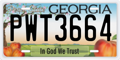 GA license plate PWT3664