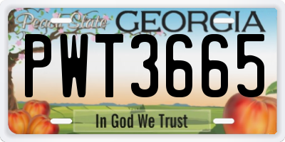 GA license plate PWT3665
