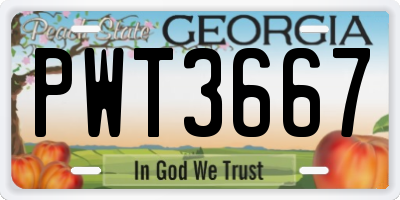 GA license plate PWT3667