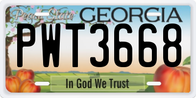 GA license plate PWT3668