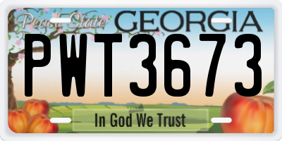 GA license plate PWT3673