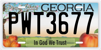 GA license plate PWT3677