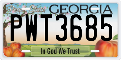 GA license plate PWT3685