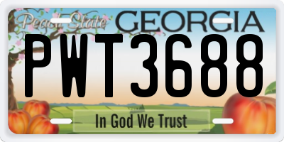 GA license plate PWT3688
