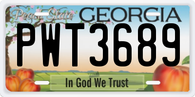 GA license plate PWT3689