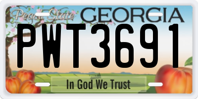 GA license plate PWT3691