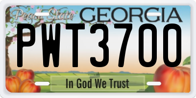 GA license plate PWT3700