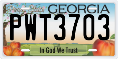 GA license plate PWT3703