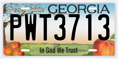 GA license plate PWT3713