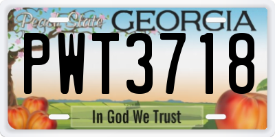 GA license plate PWT3718
