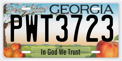 GA license plate PWT3723