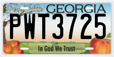 GA license plate PWT3725