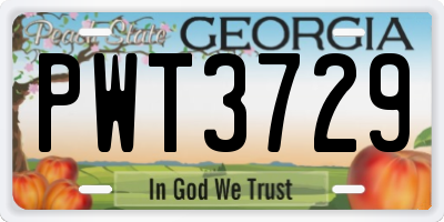GA license plate PWT3729
