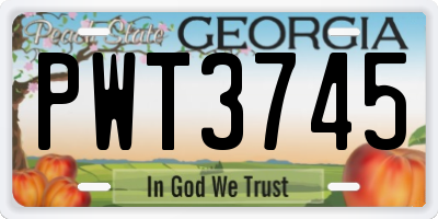 GA license plate PWT3745