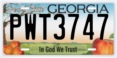 GA license plate PWT3747