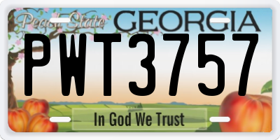GA license plate PWT3757