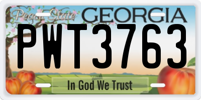 GA license plate PWT3763