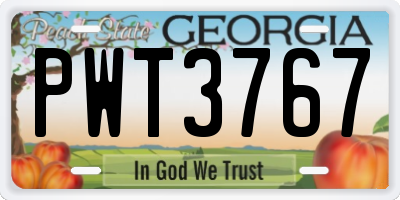 GA license plate PWT3767