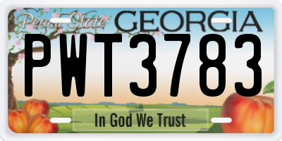 GA license plate PWT3783