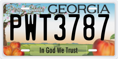 GA license plate PWT3787