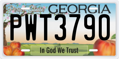 GA license plate PWT3790