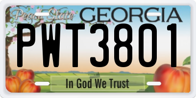 GA license plate PWT3801
