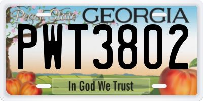GA license plate PWT3802