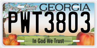 GA license plate PWT3803