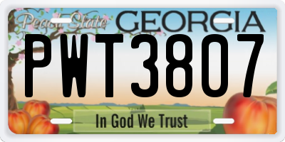 GA license plate PWT3807