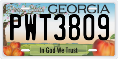 GA license plate PWT3809