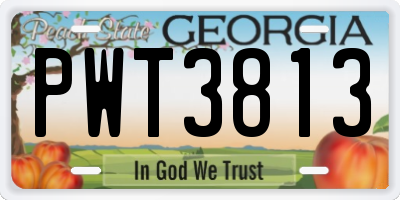 GA license plate PWT3813