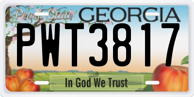 GA license plate PWT3817