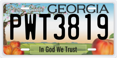 GA license plate PWT3819