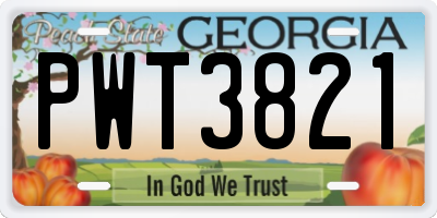 GA license plate PWT3821